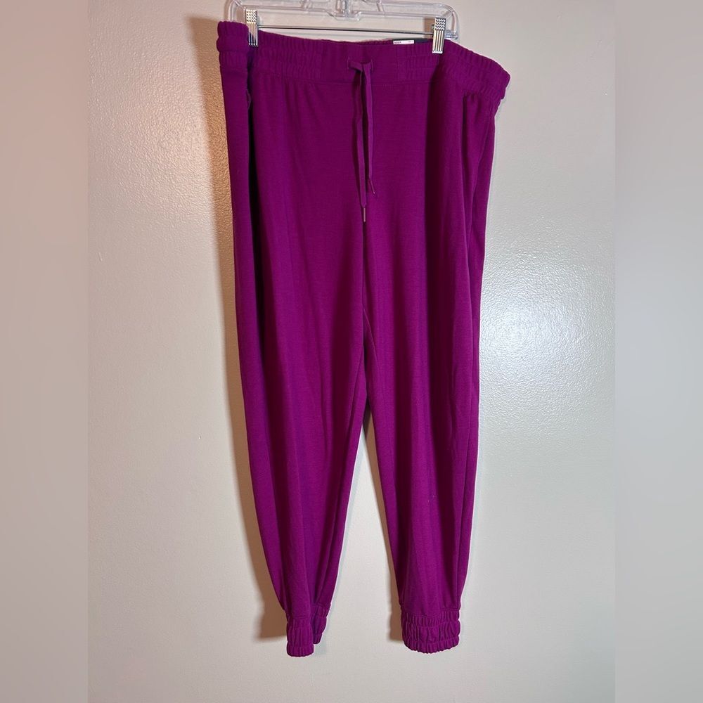 NWT Trek Gear Mid Rise Jogger berry color size 1X